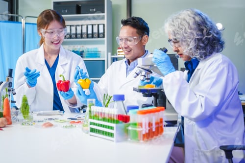 Preview: A male scientist and two women conduct plant research in a laboratory. microscopes, petri dishes