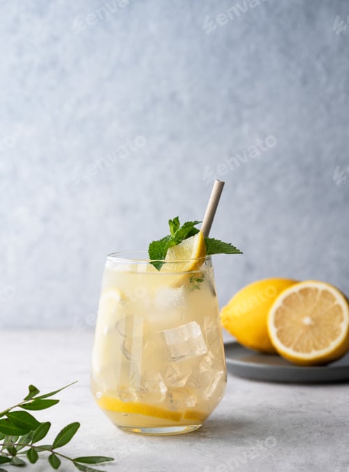 Preview: Mojito cocktail with fresh lemon, mint and ice. Refreshing citrus lemonade drink