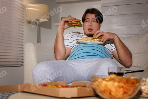 Preview: Overweight man with plate of burgers and French fries on sofa at home