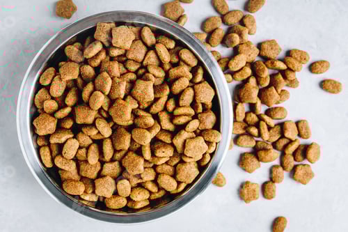 Preview: Dog food. Dried pet dog food in bowl on gray stone background