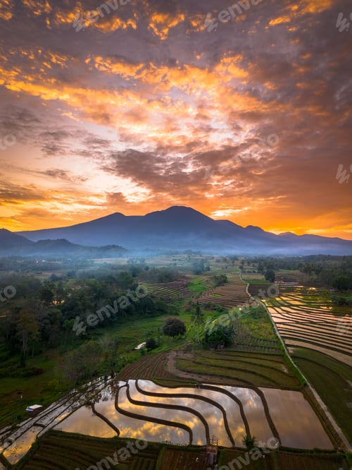 Preview: Beautiful morning view indonesia panorama landscape paddy fields
