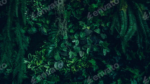 Visualização: Group of Green leaf and natural background. Tropical green leaves texture and abstract foliage.