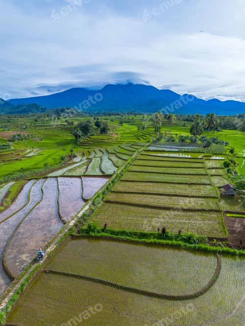 Preview: beautiful morning view from Indonesia