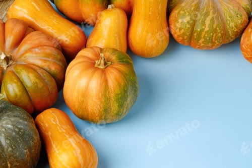 Preview: Set of different color pumpkins on blue background