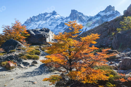 Preview: Autumn in Patagonia