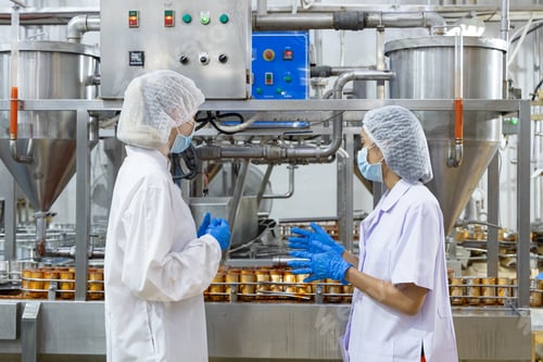 Preview: Quality control inspectors in a food processing plant