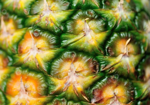 Preview: Pineapple skin and sterns