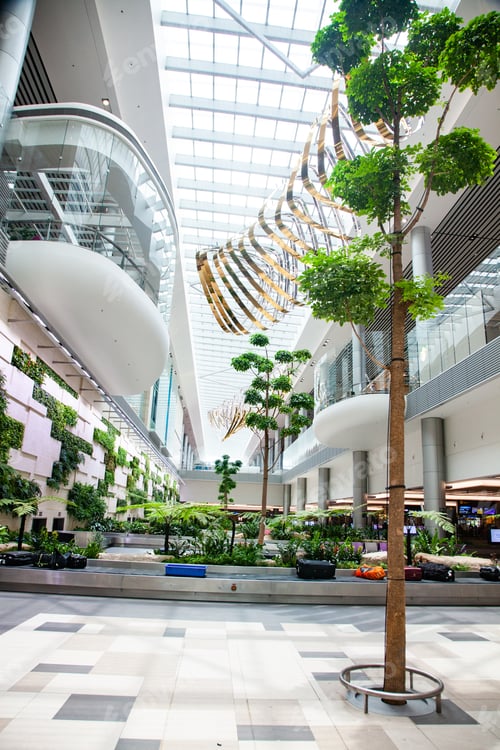 Preview: luggage claim area with tropical plants in airport