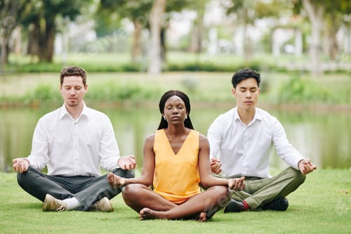 Preview: People Meditating Together Outdoors on the Grass