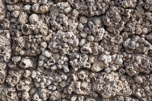 Preview: View at salt crystals