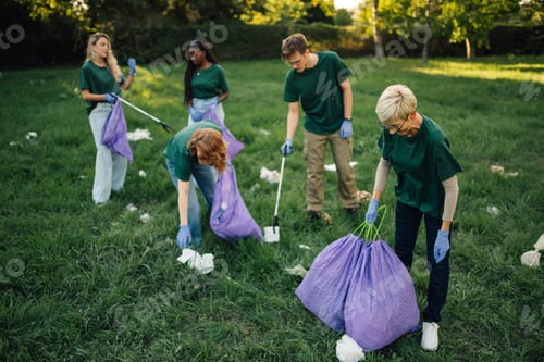 Preview: Volunteers collecting garbage in park wearing green t shirts