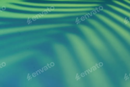 Preview: Beautiful fern leaves shadow colored background in artificial light