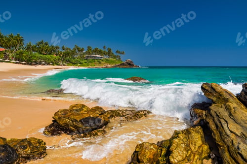 Preview: Tropical beach with palm trees. Sri Lanka. Tourist resort