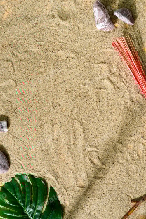 Preview: Sand background with shells and green leaves