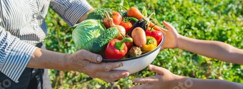 Freshly Picked Vegetables in a Bowl Outdoors