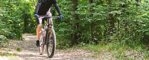 Preview: Young athletic cyclist riding down summer woods
