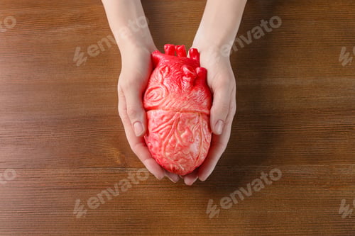 Preview: Woman holding model of heart on wooden table. Heart attack concept