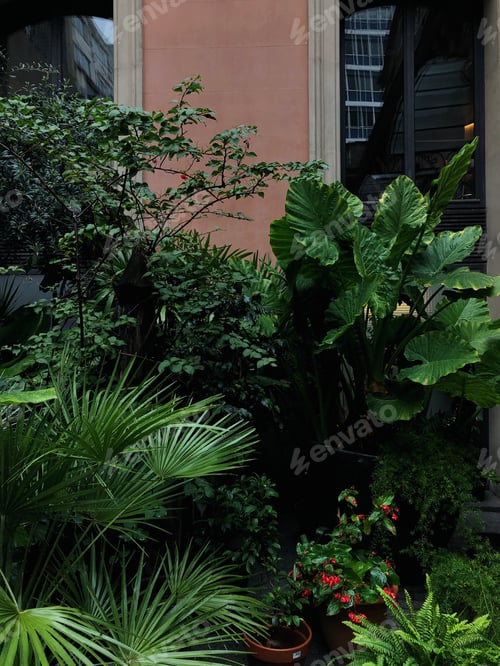 Preview: Foliage next to the pink wall