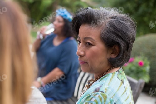 Preview: Guests enjoying and celebrating at garden party