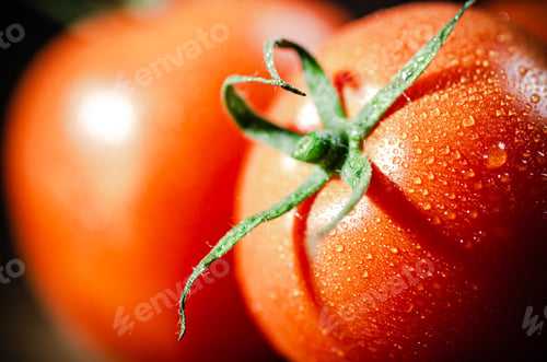 Preview: Fresh tomatoes macro.