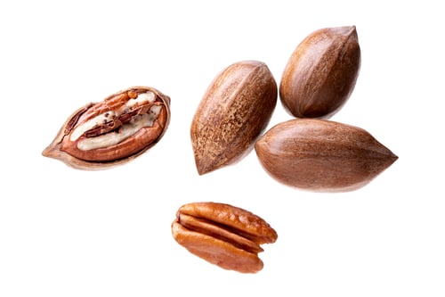 Preview: Pecan nuts isolated