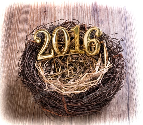 Preview: New Born 2016 On Nest