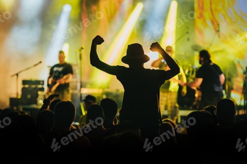 Preview: Man in a concert audience having fun on a music festival