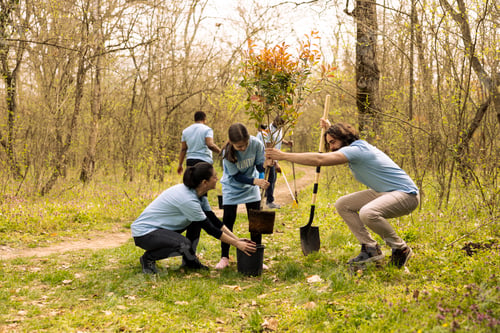 Preview: Small girl and activists team do voluntary work by planting trees in the forest