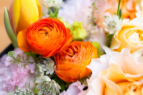 Preview: Set of flower box with different flower