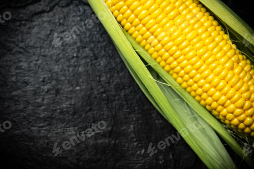 Preview: Fresh corn on black table.