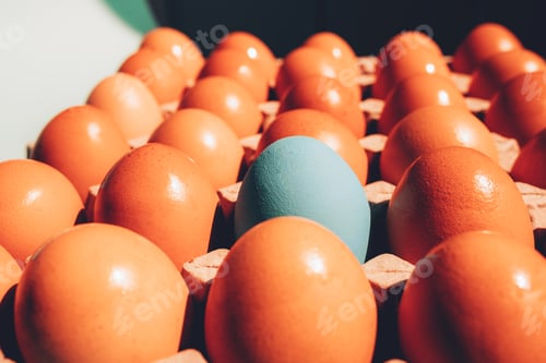 Preview: Chicken eggs in tray, close-up eggs pattern