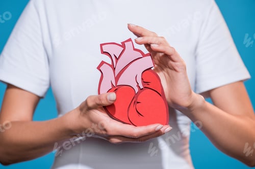 Preview: cropped shot of woman in white tshirt holding paper made heart on blue backdrop