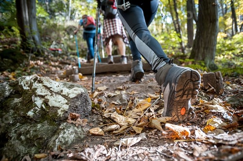 Preview: Hiker woman with trekking sticks climbs steep on mountain trail, focus on boot