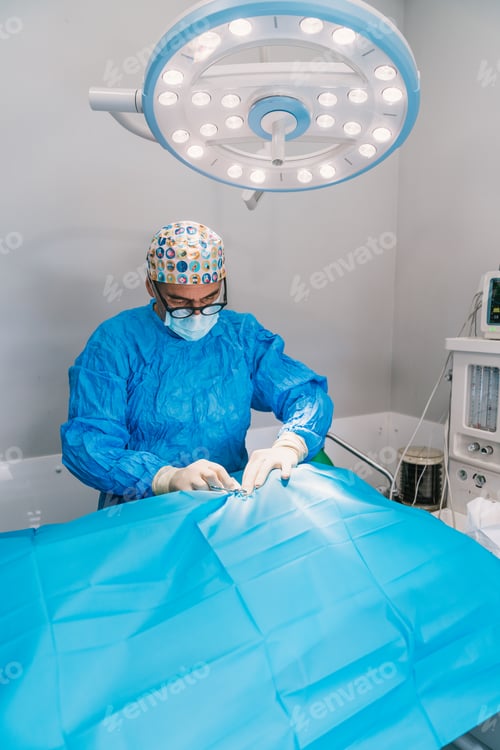 Preview: Veterinarian operating a pet in a veterinary hospital