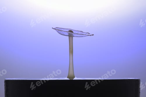 Preview: water droplet