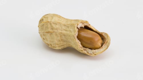 Preview: Organic Roasted Peanuts. Isolated Nut Snack. Healthy, Delicious, and Crunchy Culinary Harvest