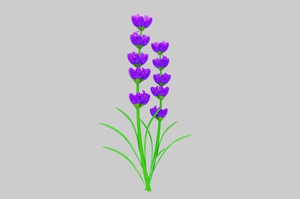 Preview: Digital illustration of a purple flowering plant