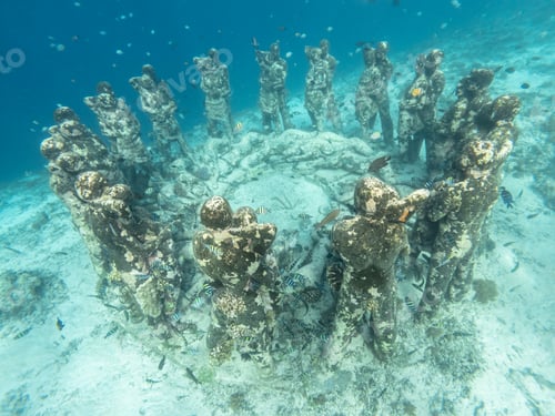Preview: Bask Nest underwater sculptures