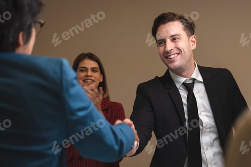 Preview: Successful entrepreneurs and business people group achieving goals, happy corporate team meeting