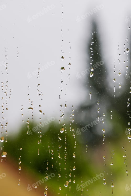 Preview: Drops of rain on the window, blurred trees in the background