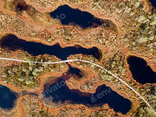 Preview: Wooden hiking trails in swamps