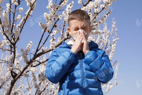 Preview: Little boy suffering from seasonal allergy outdoors on sunny day