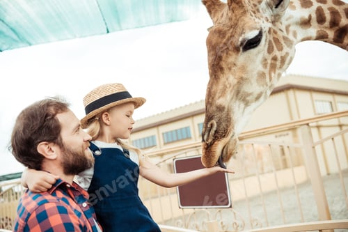 Preview: side view of father and little daughter feeding giraffe in zoo