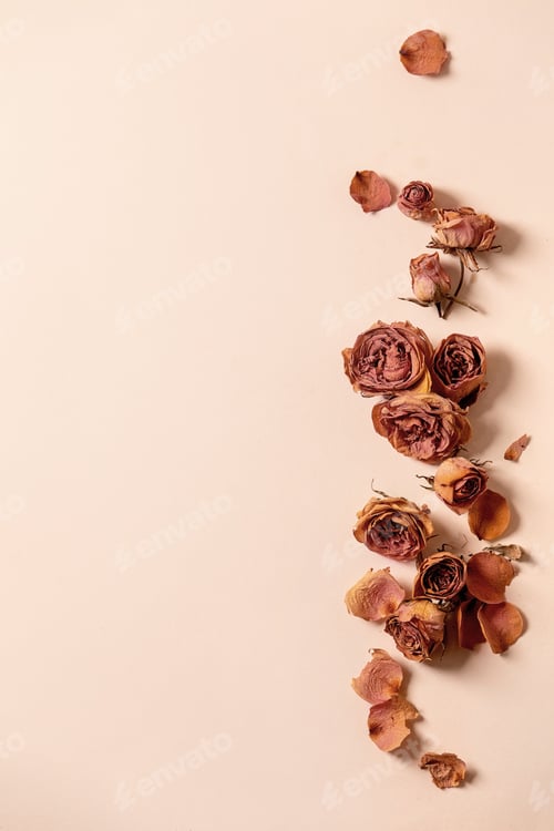 Preview: Creative layout with flowers