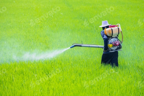 Preview: Farmer spray liquid fertilizer. Pest control using danger chemical in Agriculture plant. Applies
