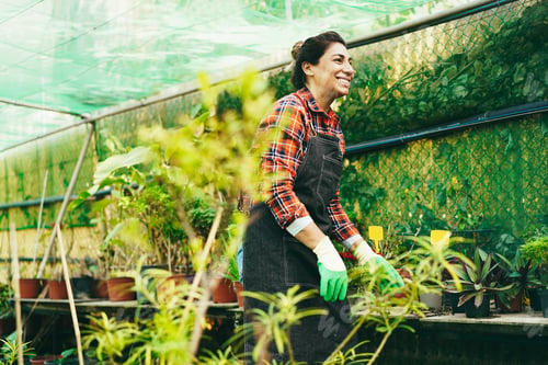 Preview: Latin woman working inside greenhouse garden - Focus on face