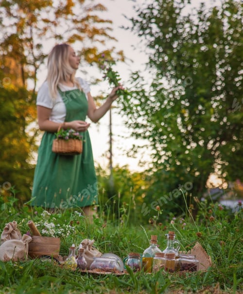 Visualização: A mulher coleciona ervas medicinais. Foco seletivo
.