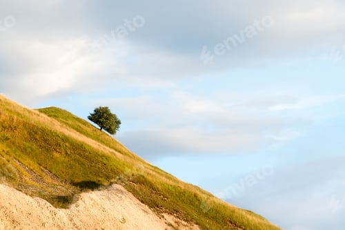 Preview: Lonely tree on a grassy hill under a blue sky with clouds during golden hour