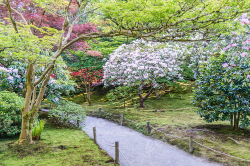 Preview: A Path Goes Through A Colorful Garden In Seattle, Washington.
