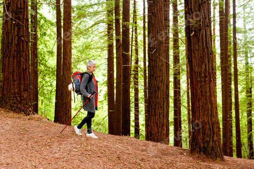 Preview: Senior woman with backpack hiking